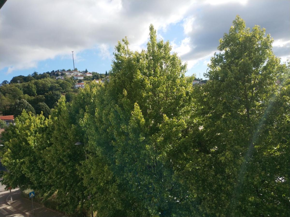 Alto Minho Central Apartment Paredes de Coura Dış mekan fotoğraf